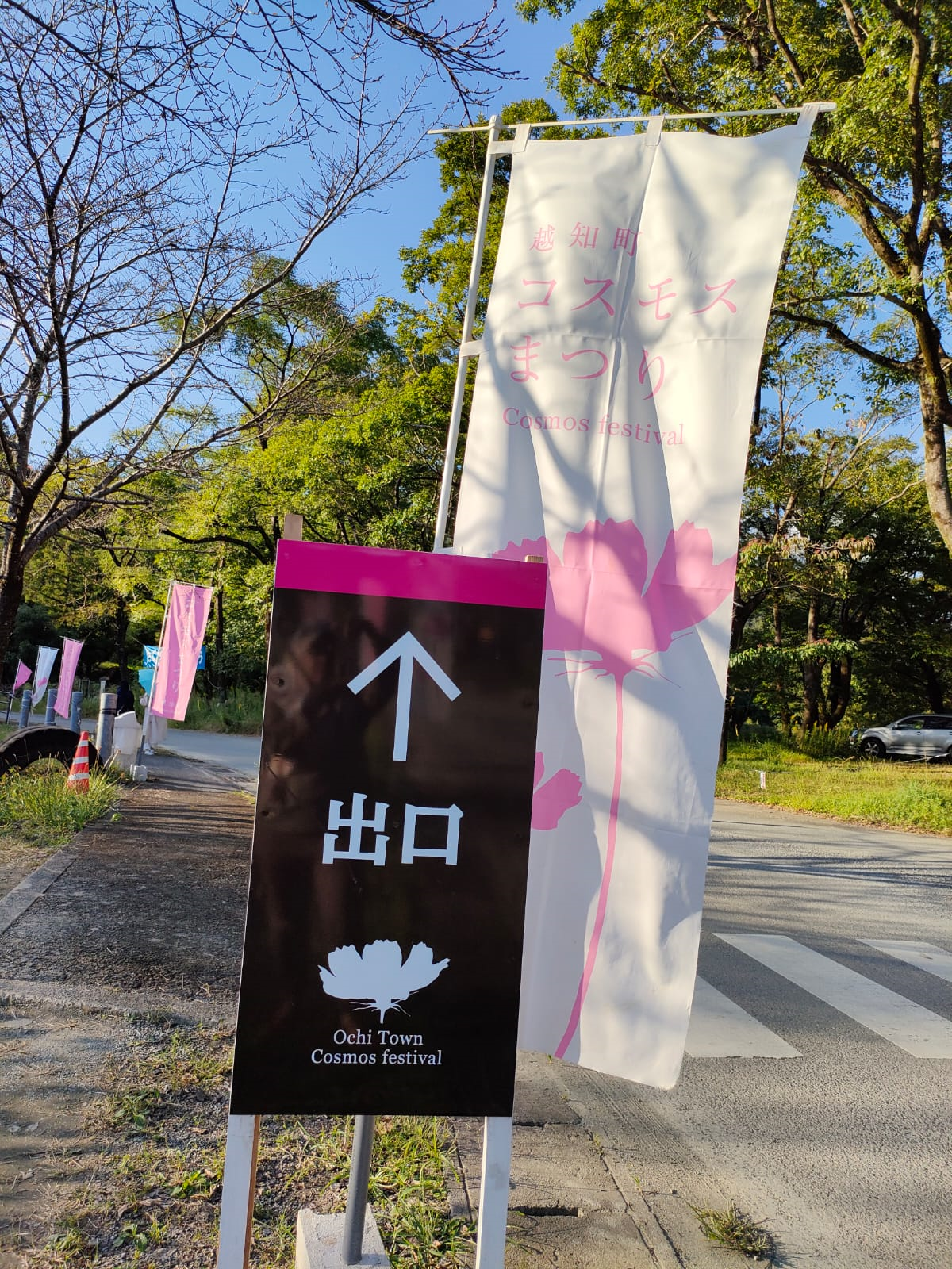 Flowerページ♡ Paradise in a Flower Field– Takaoka Art