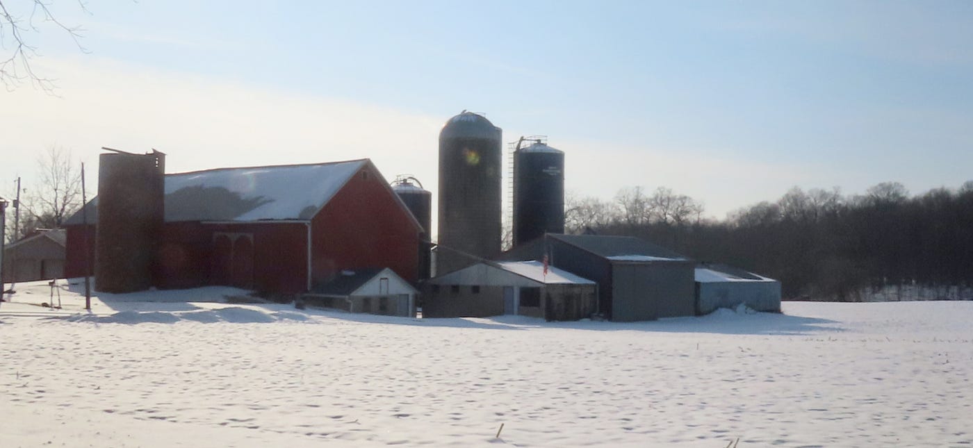 Photography by Dawn Ulmer, the author