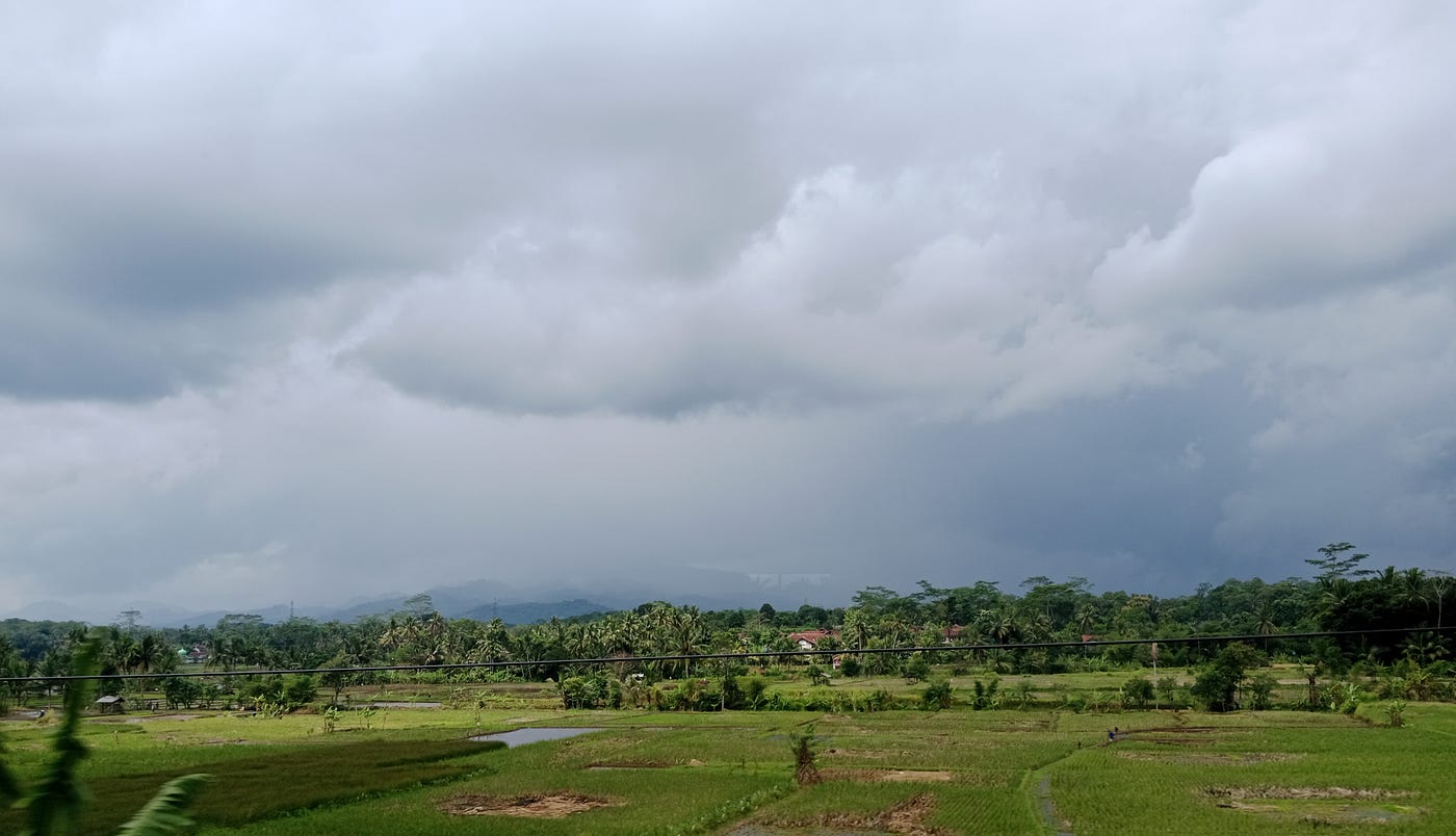 Some agricultural fields viewed through the right window.