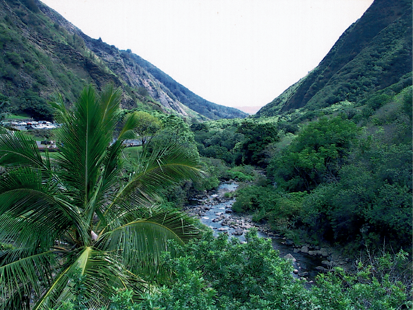 Maui’s Stunning Flora and Scenery