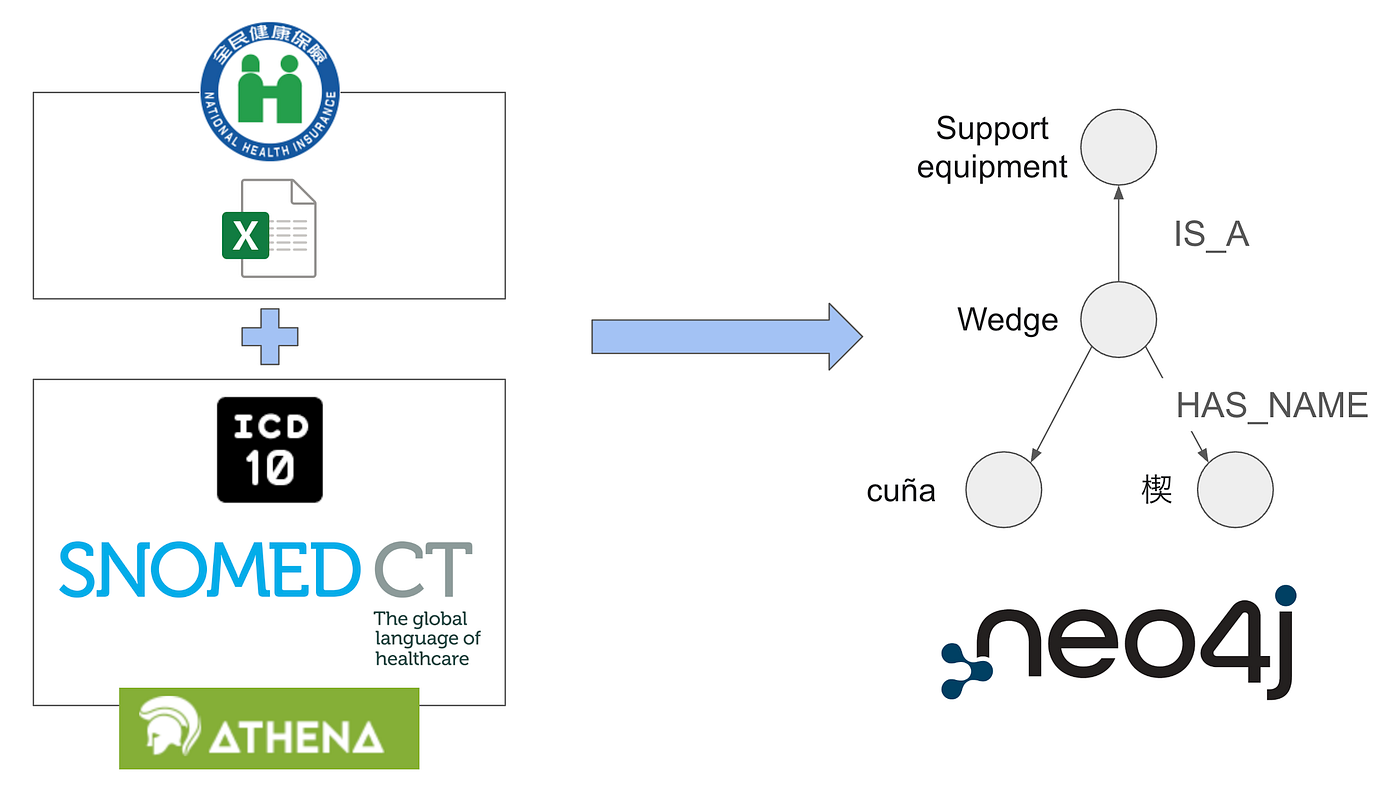 Building a Multilingual Medical Dictionary as a Graph Database