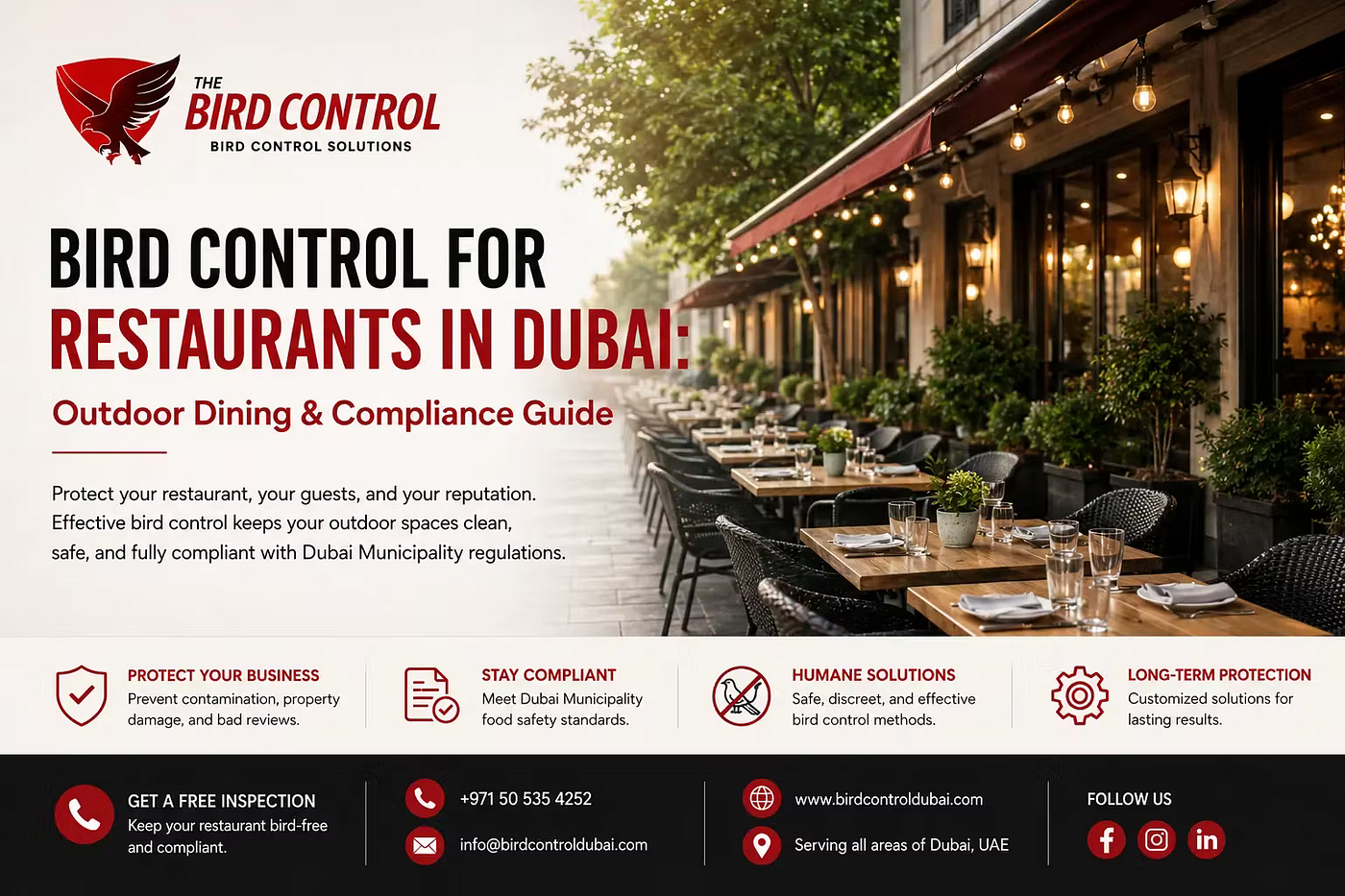 Bird Control for Restaurants in Dubai: Protect Outdoor Dining and Stay Food-Safety Compliant