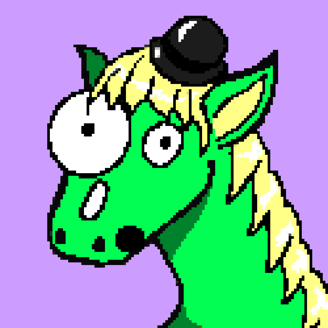 STUPIDHORSE — AN ALGORAND NFT ARTIST SHOWCASE | by Algo Gang Originals |  Medium
