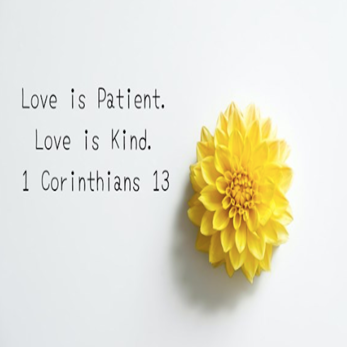 What does love is patient love is kind really mean a 56 off