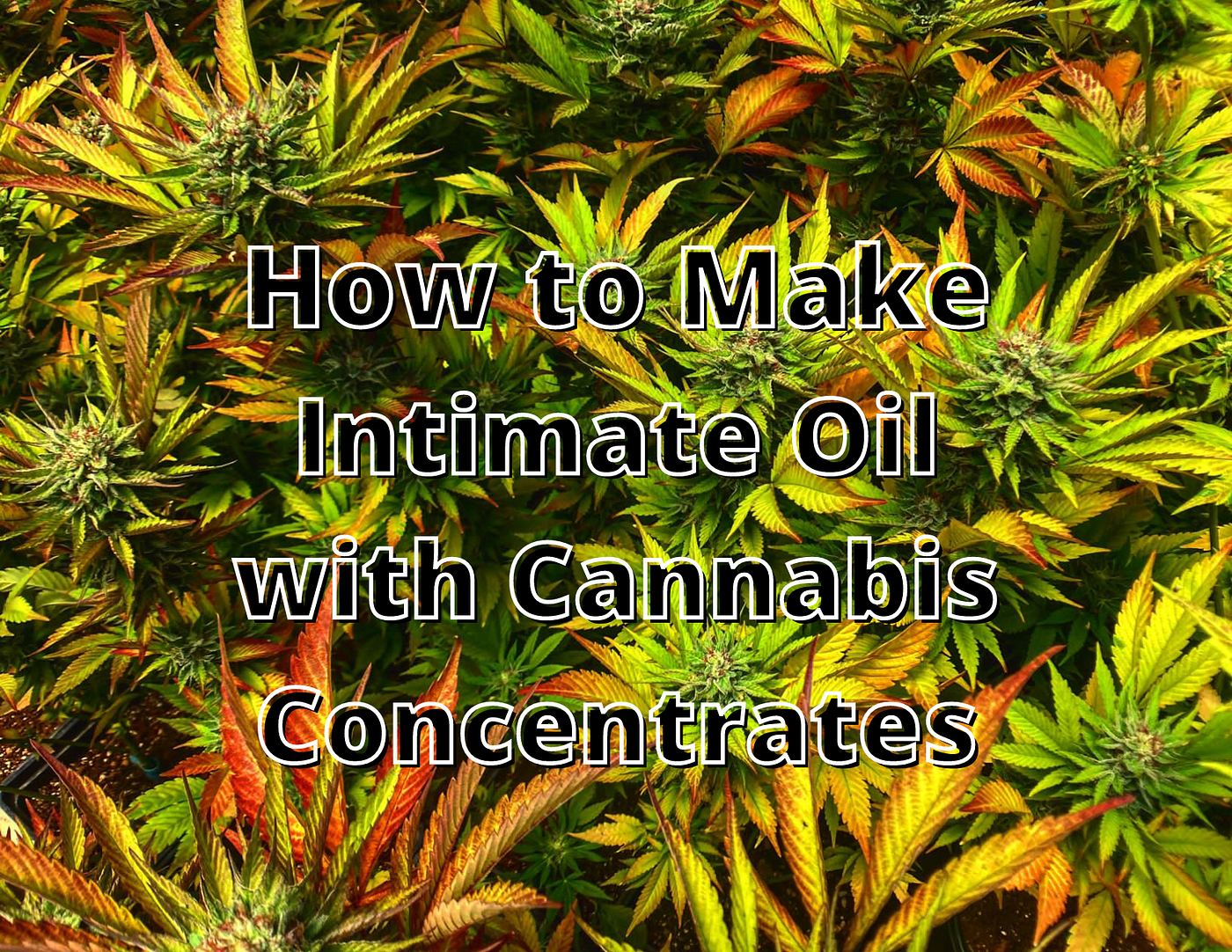 How to Make Your Own Weed Lube at Home | by Adam Adman | Beaches and Weed |  Medium