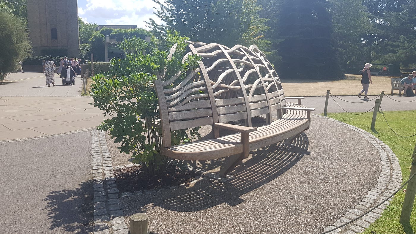 Sapling by the side of the bench — Credit: Author
