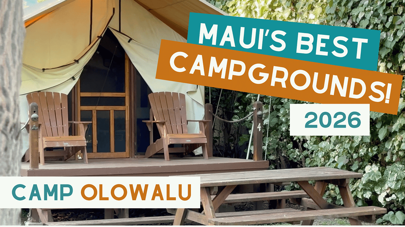 Camp Olowalu 2026 Guide with Easy Camping Maui