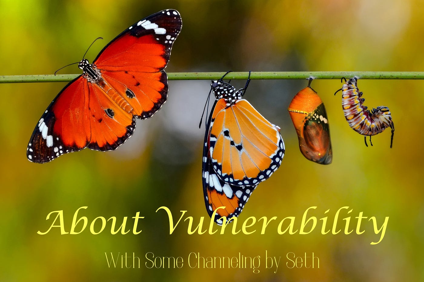 About Vulnerability