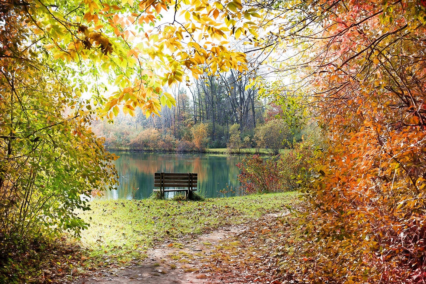 4K] Autumn Music — Piano Relaxing Music With Beautiful Nature Scenes — The  Nomandland Channel. - The Nomadland Channel - Medium