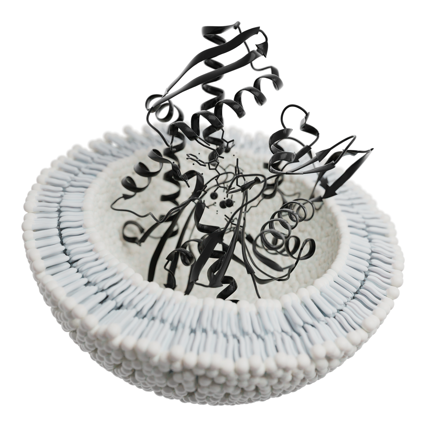 Exosome carrying a protein. Image by Guillaume Pelletier (CC BY-SA 4.0)