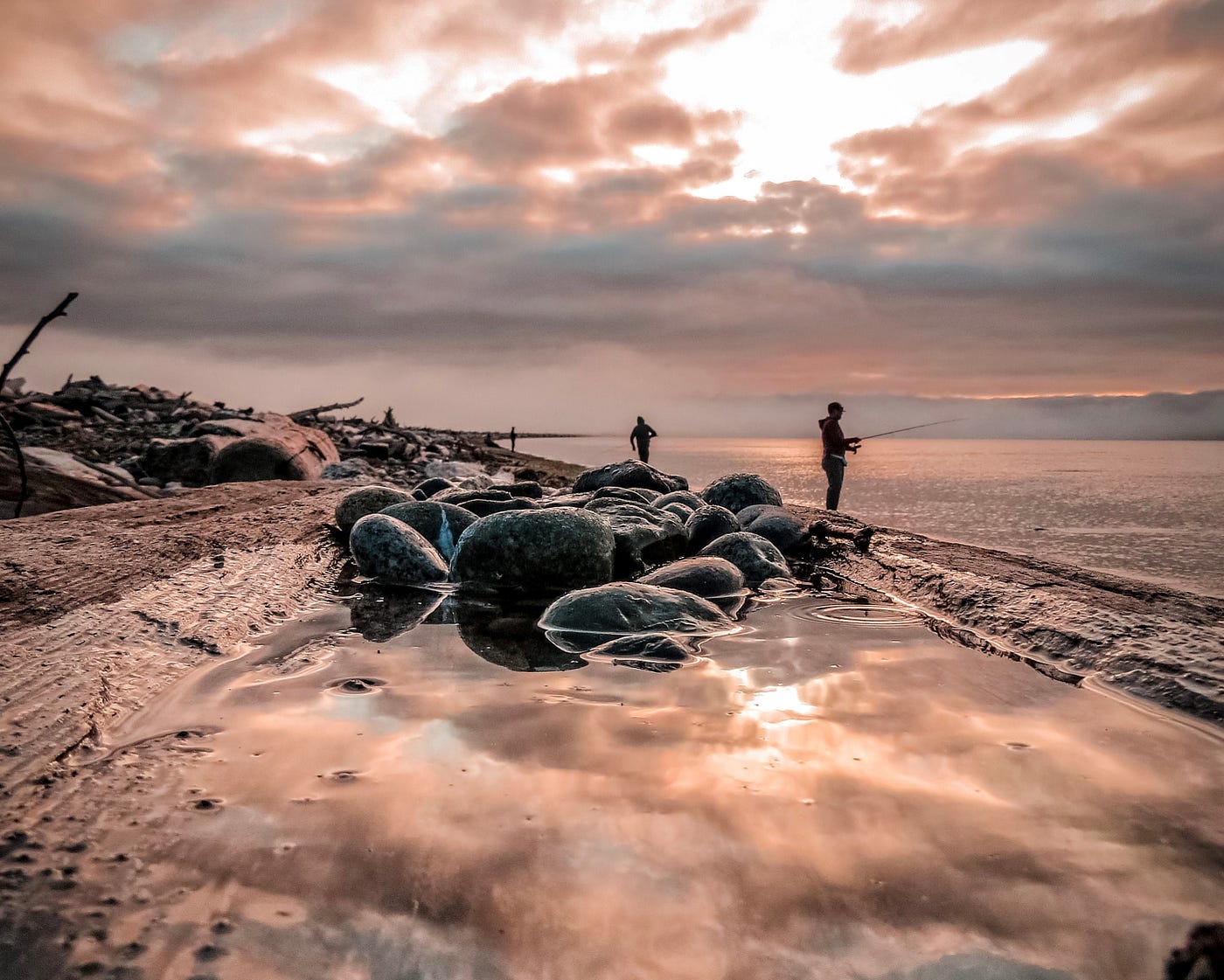 The Salmon Fishing Current blog: summer and fall 2026 edition
