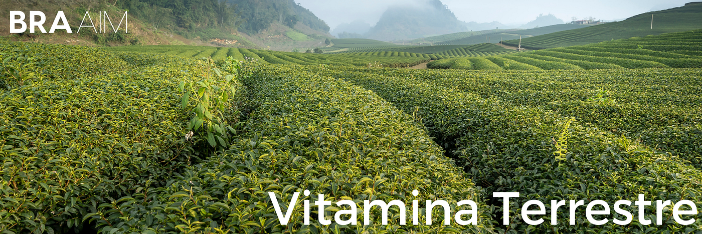 Vitamina Terrestre