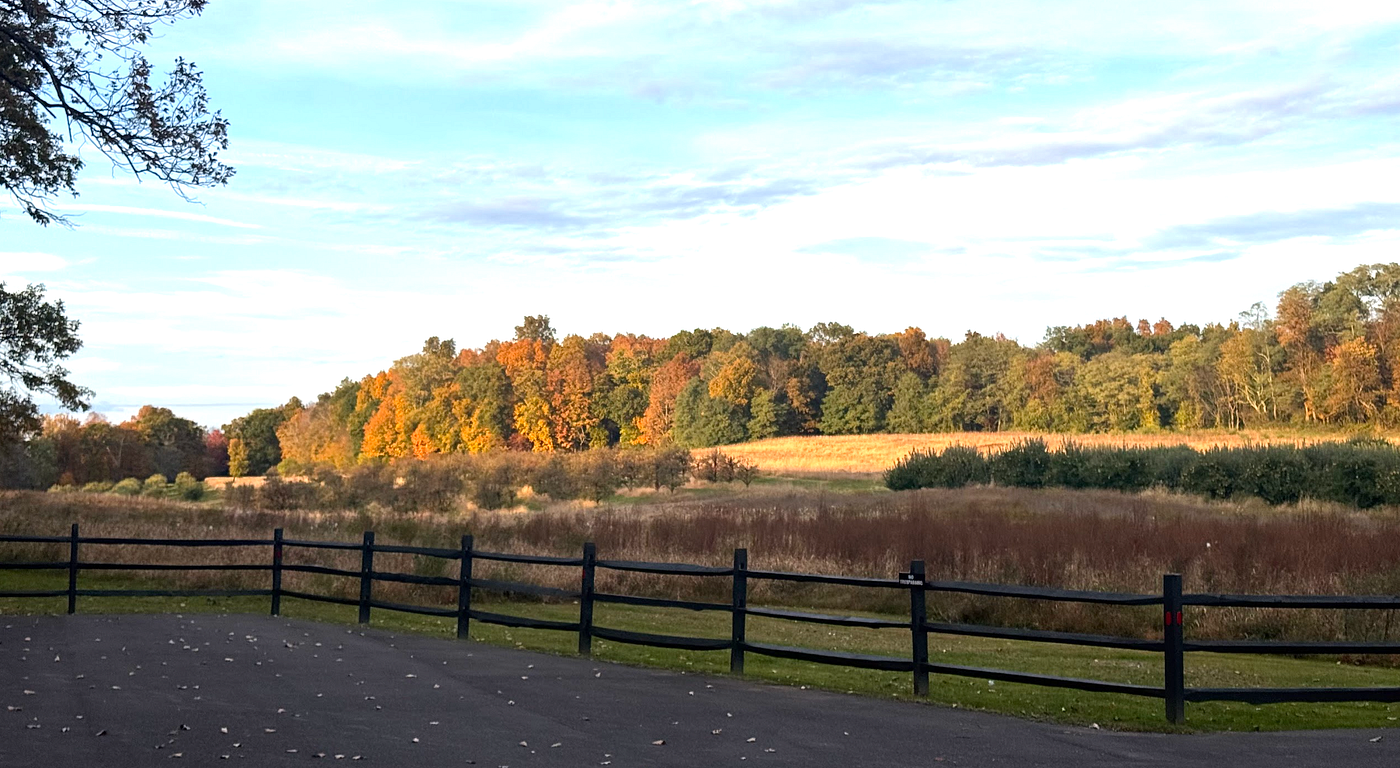 The fall colors from the farm stand stop on the way home