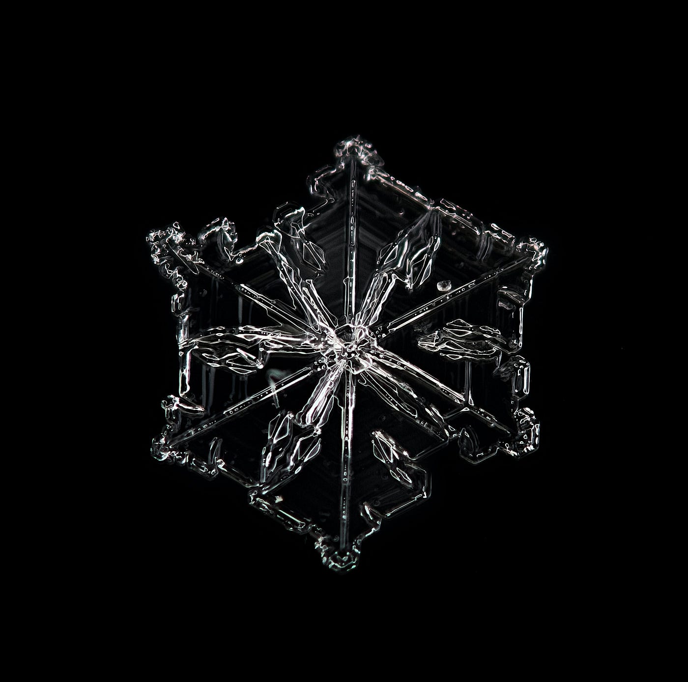 COF-C02的中合格問題集