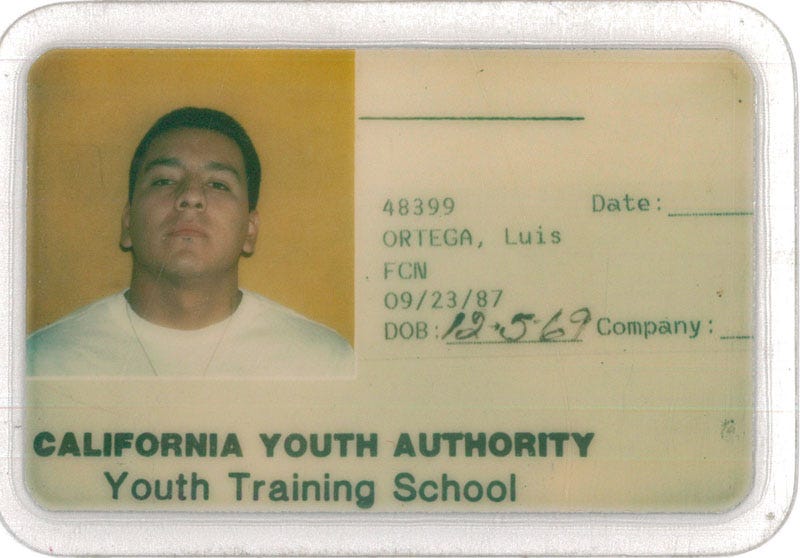 Gladiator School: Stories from Inside YTS “Fifty-five fights