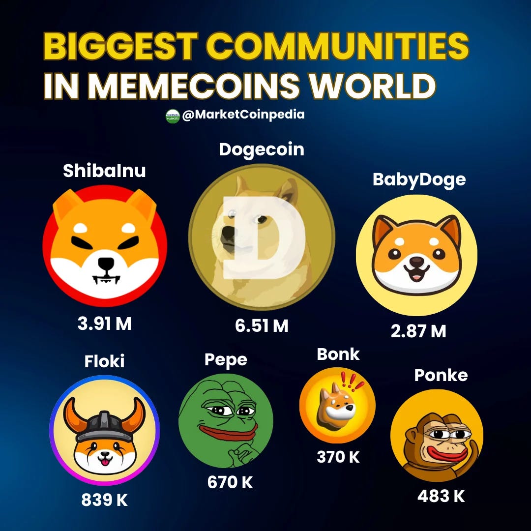 How to Choose a Meme Coin for Long-Term Investment (Without Getting Rugged)  | by Askara | Digital Currency Traders