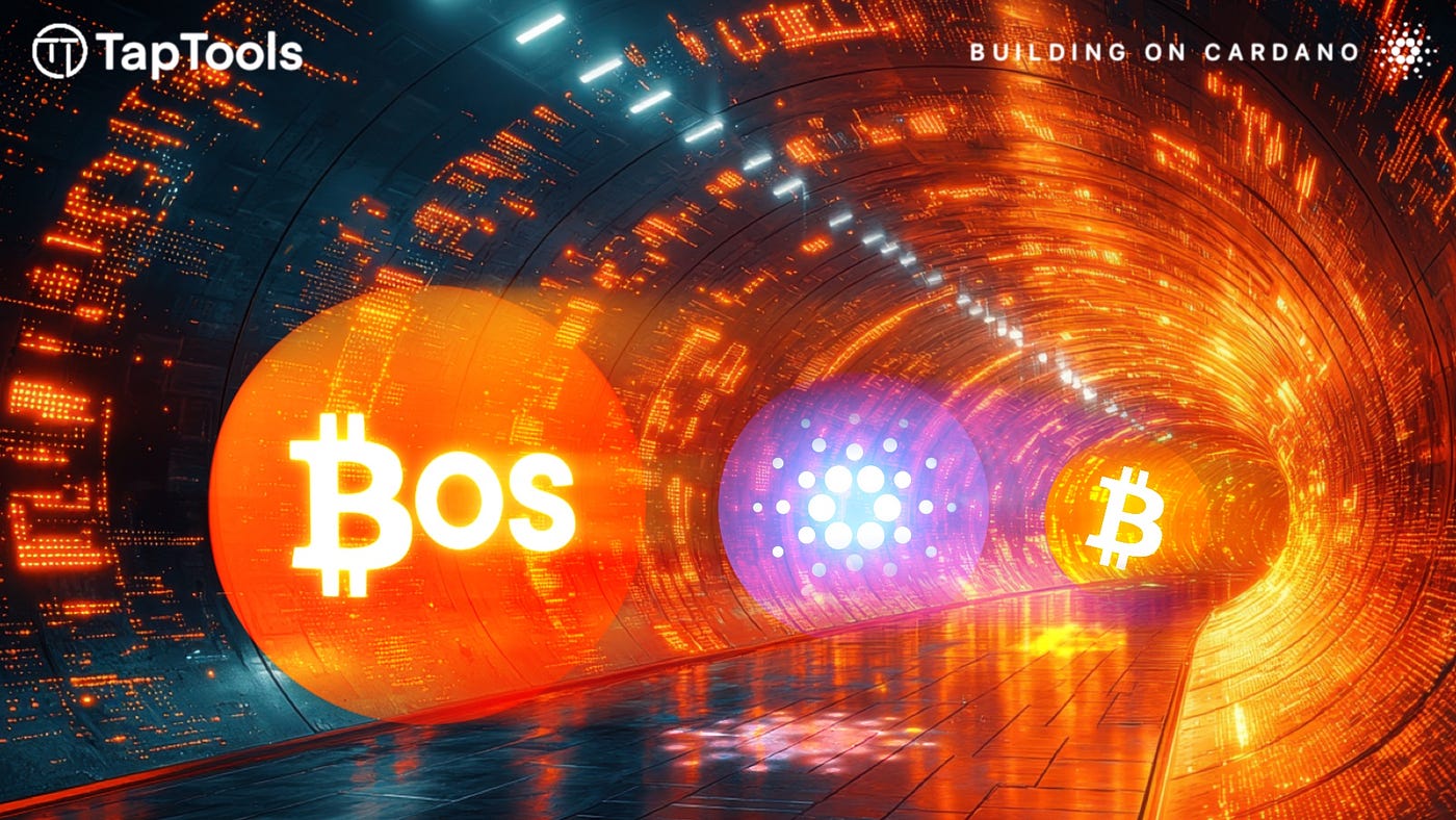 1 BTC Moves Between Bitcoin and Cardano with No Bridge | by Tap In With  TapTools | Tap In With TapTools | Medium