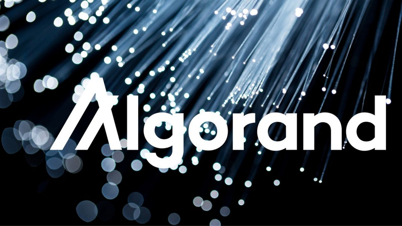 While Everyone Chases Ethereum and Solana, Algorand Is Quietly Building  What Could Be the Future of Finance | by Dipanshu Chaudhry | Medium