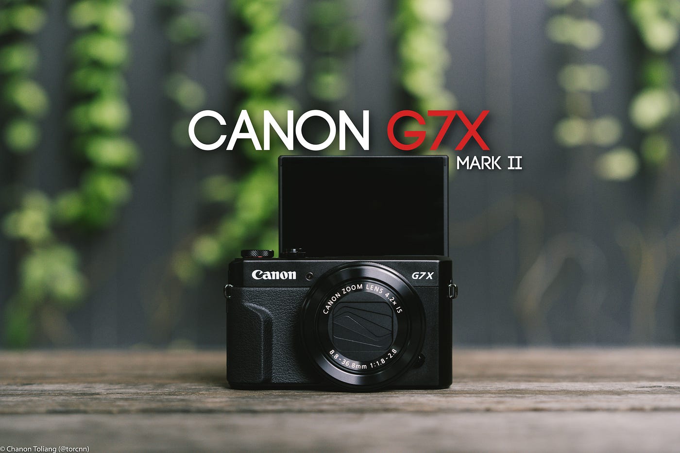 canon gzx