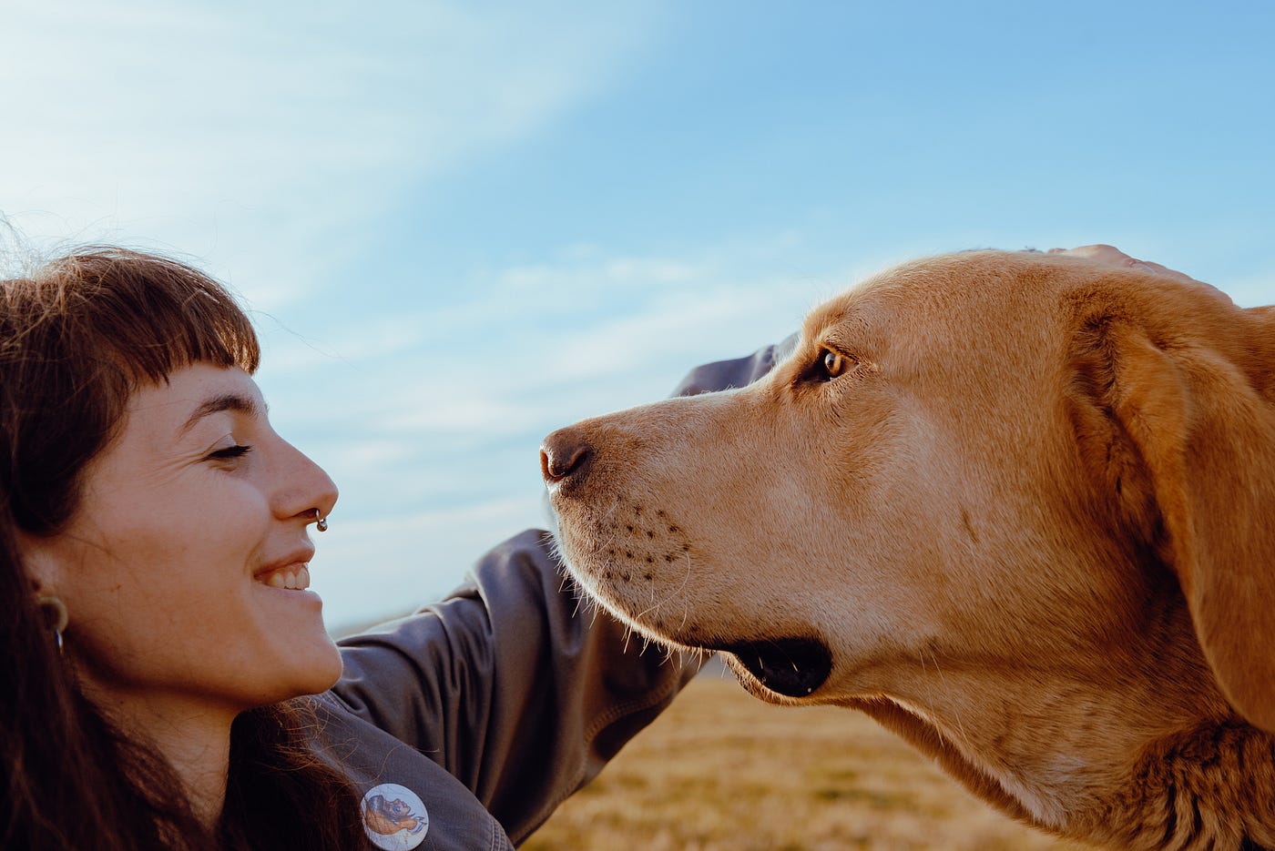 6 Things Most Dog Owners Are Secretly Ashamed Of (But Won’t Admit)
