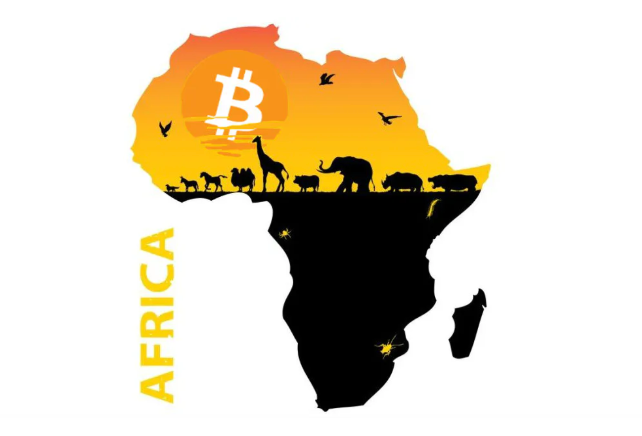Canza Finance: About crypto ecosystem in Africa and its future development  | by Fenbushi Capital | 分布式资本 | Medium