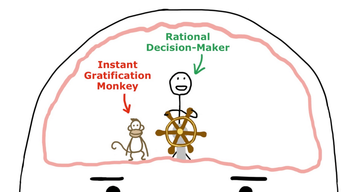 Your instant gratification monkey wants you to procrastinate — here's how  to stop him. | by Adam Kruger | Medium