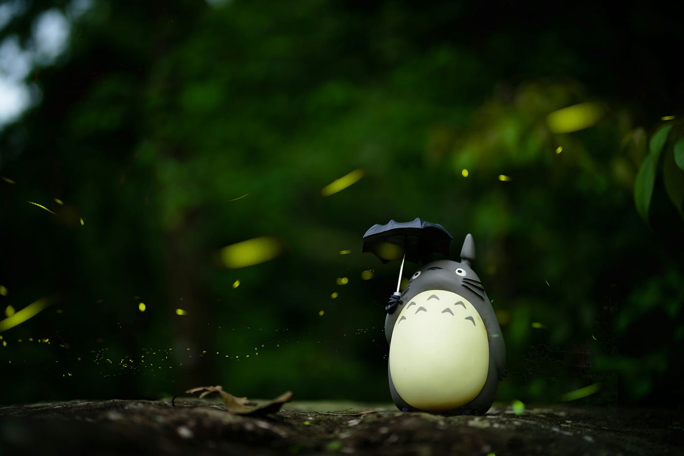 Photo by W il on Unsplash