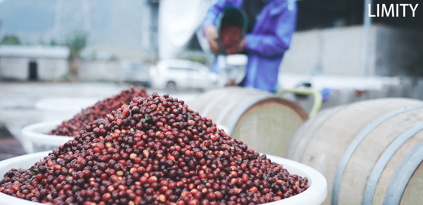 Why Are Many People’s Impressions of Yunnan Coffee Still Stuck in the Past?