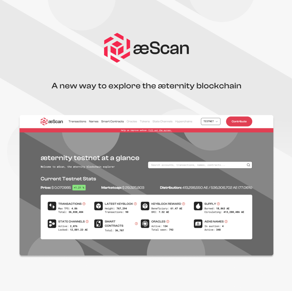 Introducing aeScan — the definitive æternity blockchain explorer | by  Danilo Sierra | æternity blog | Medium