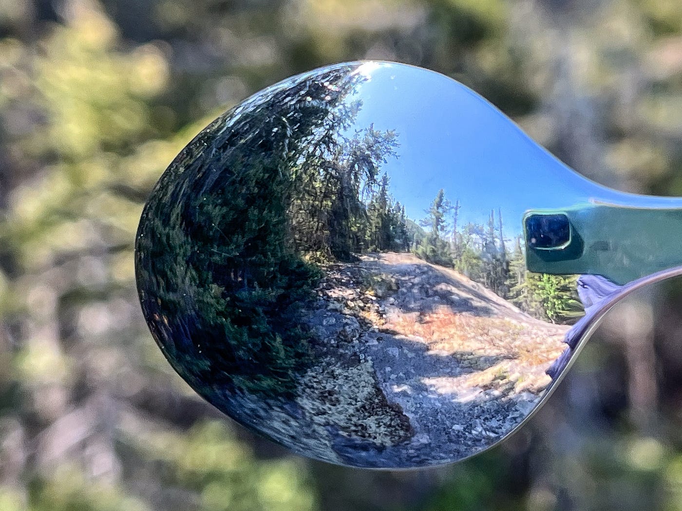 Why is My Reflection Upside down in a Spoon: Unveiling the Mystery