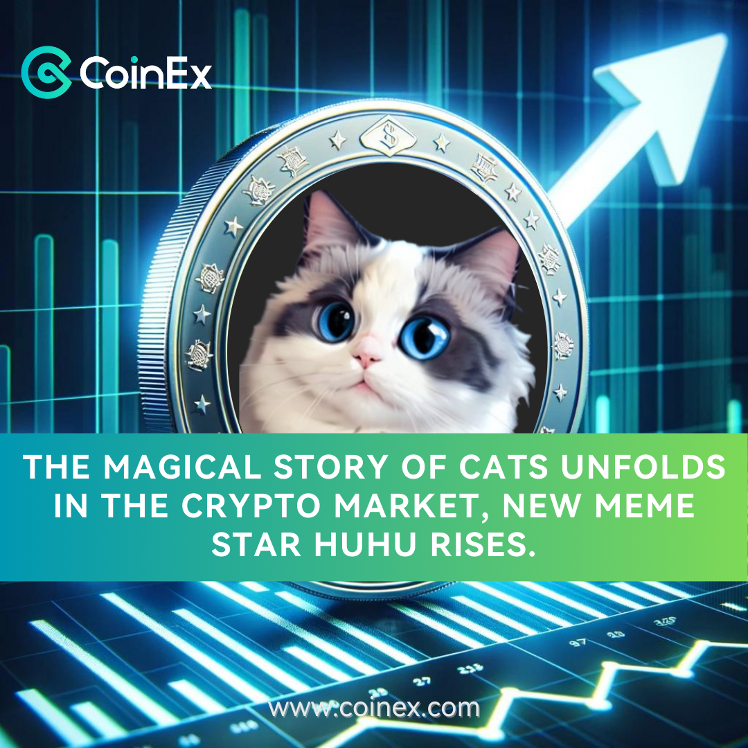 The Magical Story of Cats Unfolds in the Crypto Market, New MEME Star HUHU  Rises | by CoinEx | Medium