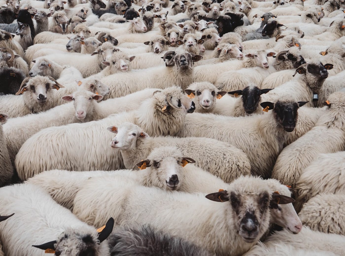 Photo by Krzysztof Kowalik on Unsplash