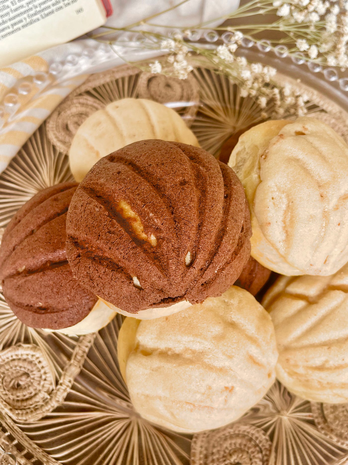 Conchas mexicanas by Batir & Reír