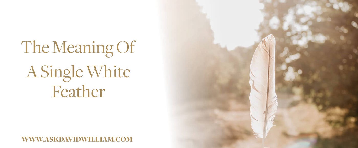 9 Spiritual Meanings of a White Feather
