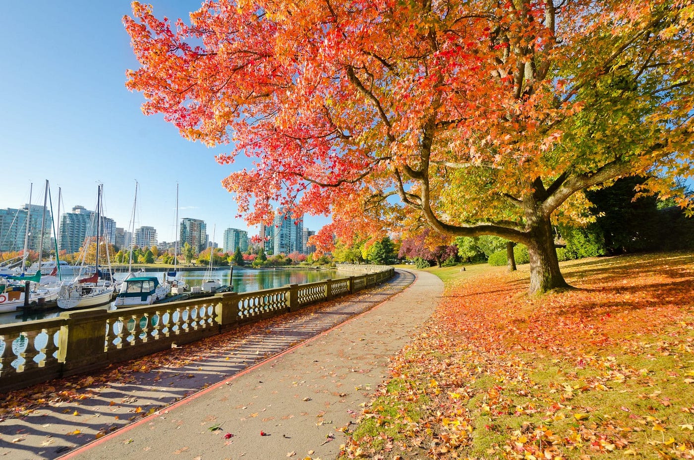 L’automne est la meilleure saison de l’année