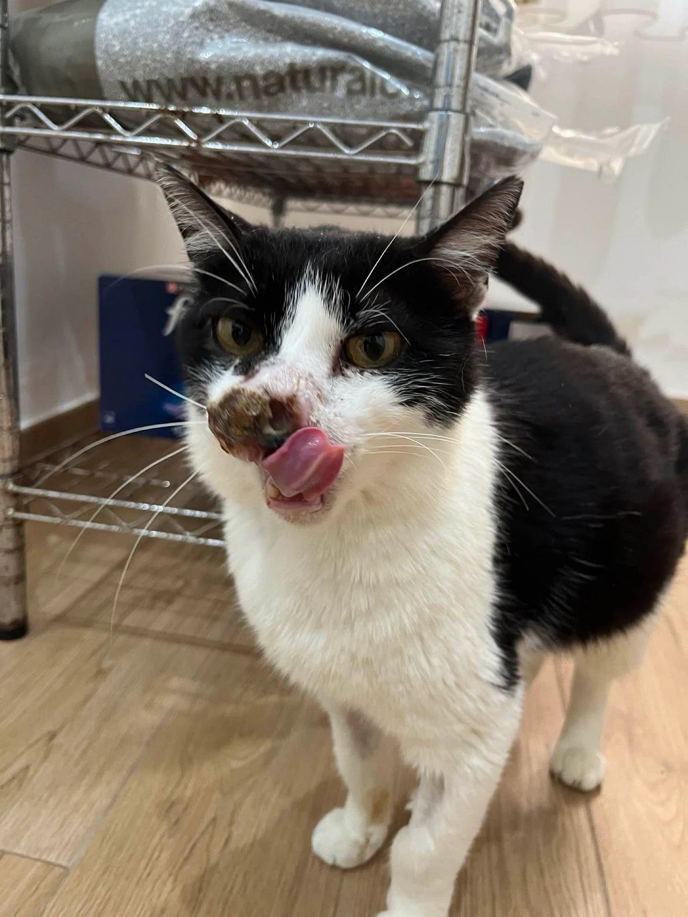 Lick