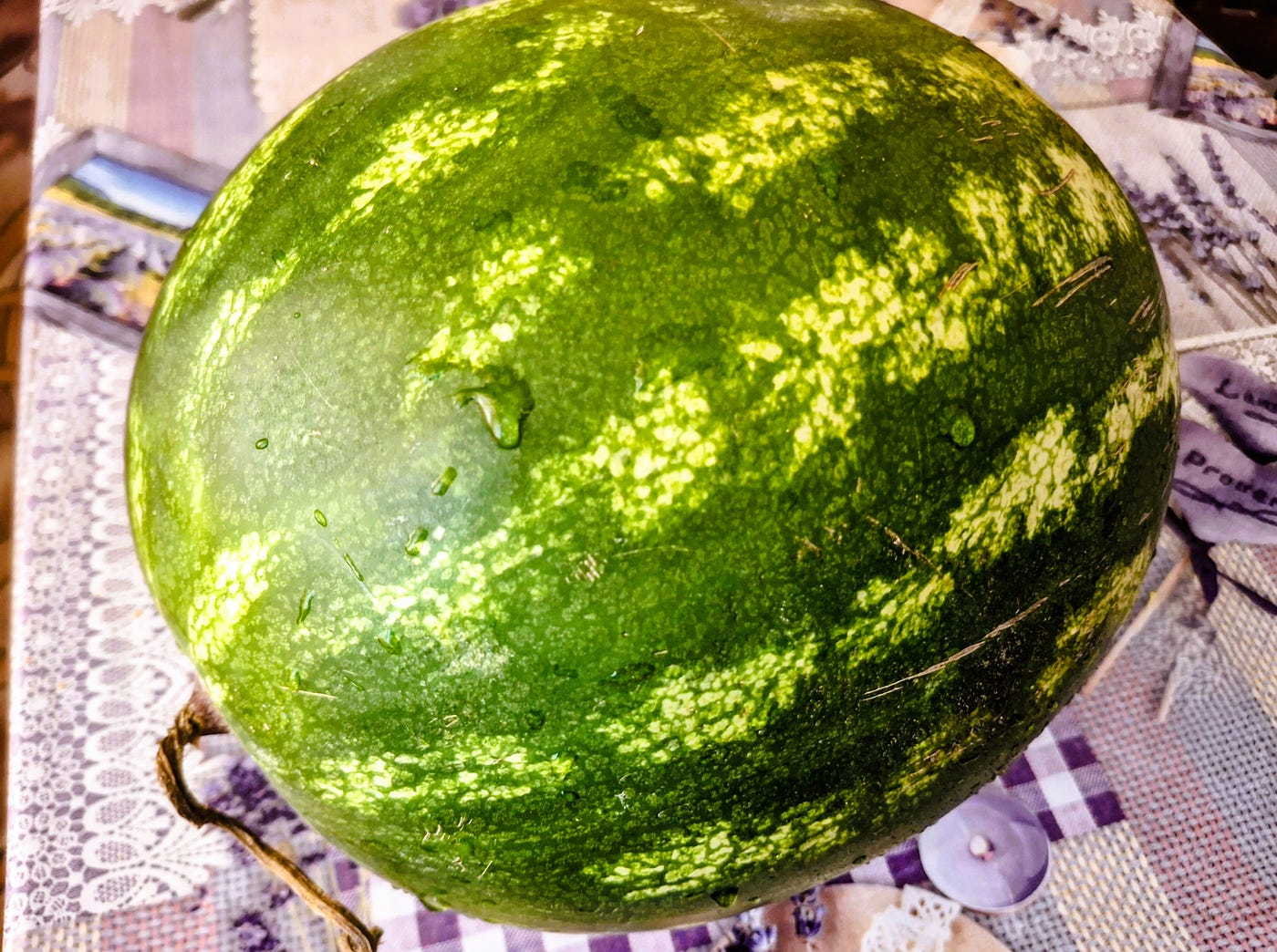 Ready for the Refreshing Summer Fruit