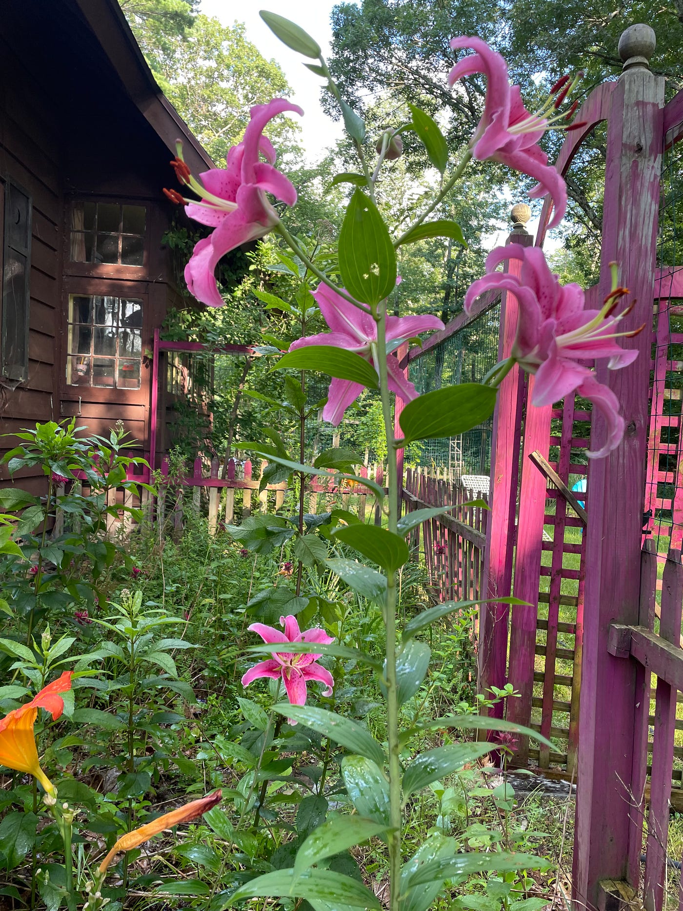This is a companion piece to “Storybook,” looking at my house in its historical context and my…
