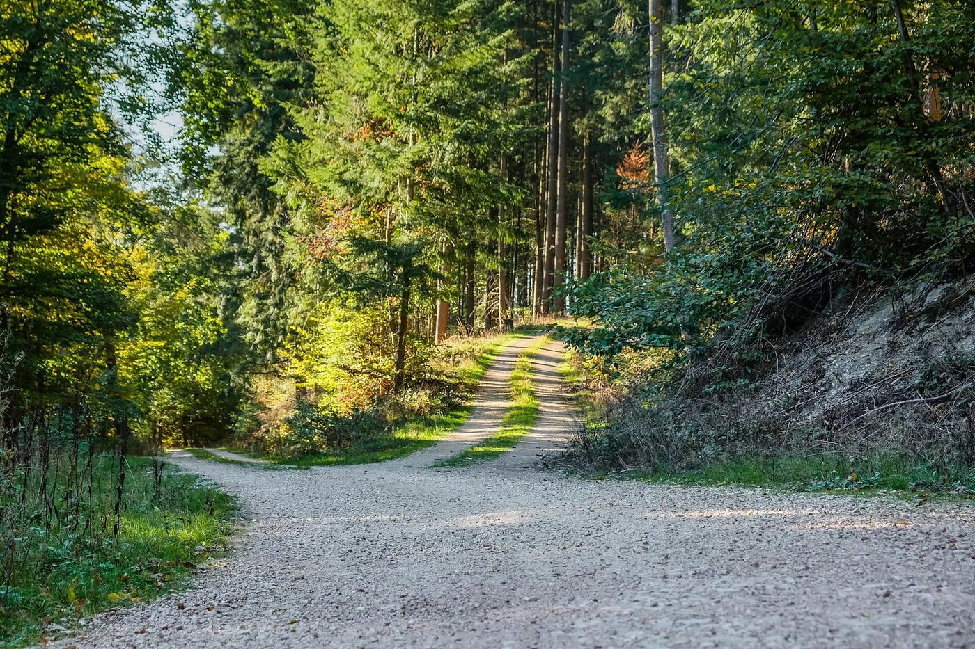 Photo by Thomas P on Pexels.com