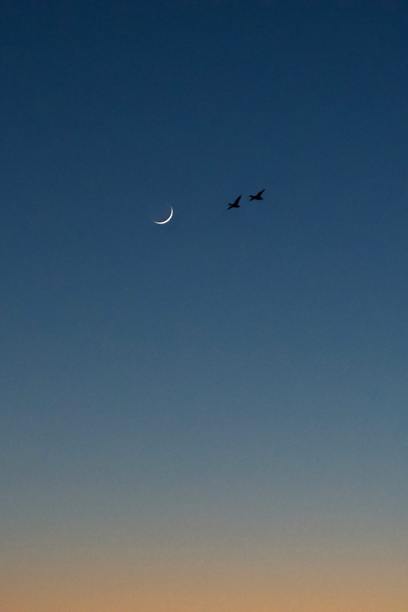 Photo by Sies Kranen on Unsplash