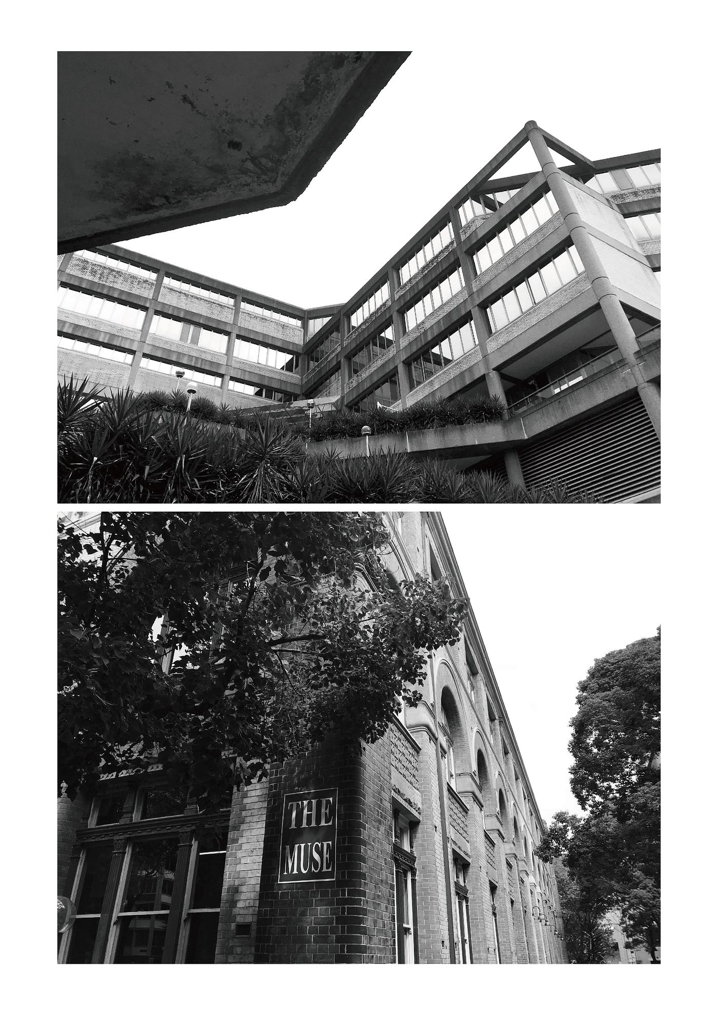 PROJECT 1A: PHOTOGRAPHY — EZRA STOLLER | by Chen Lu | Medium