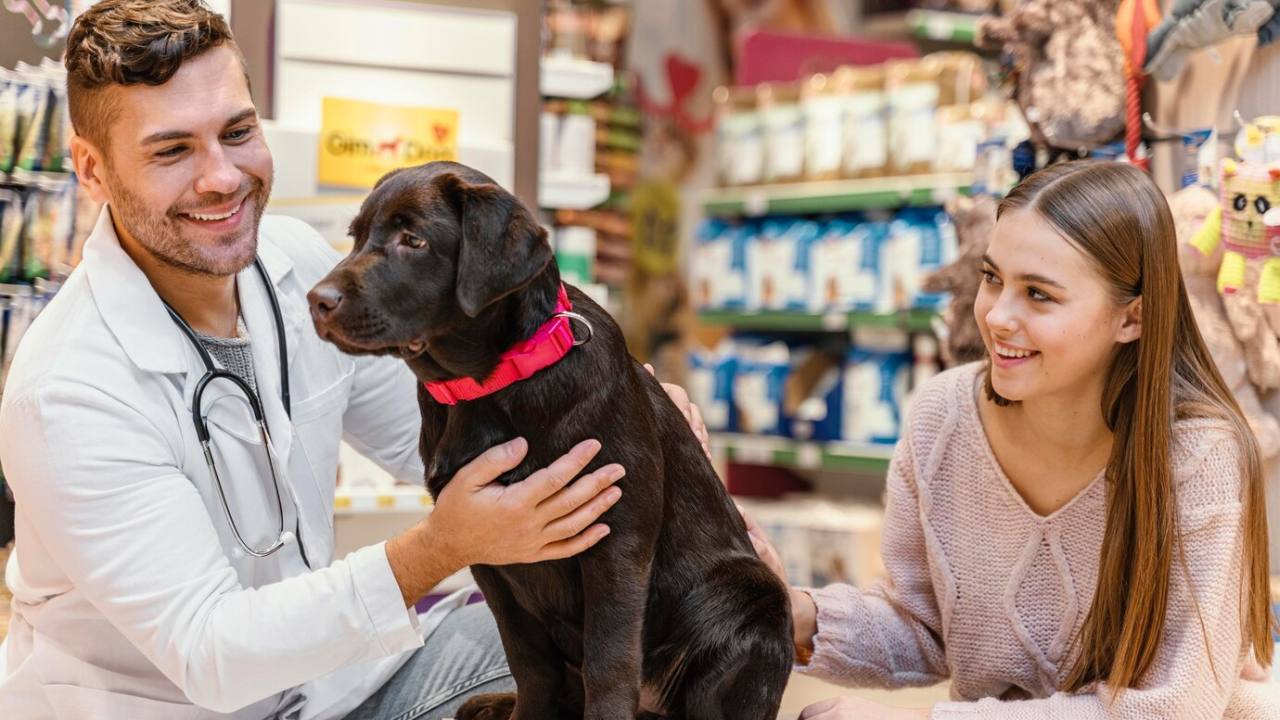 How to Write a Pet Store Business Plan? Guide & Template | by Ivan Smith |  Medium