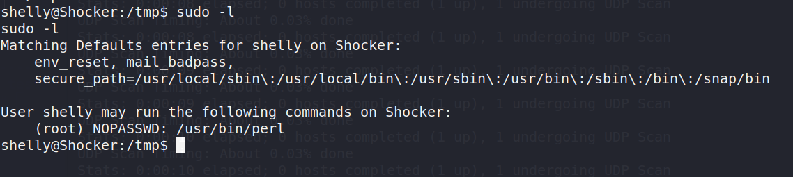 Shocker From Hackthebox. Shellshock and Perl equals to Shocker, by hac#