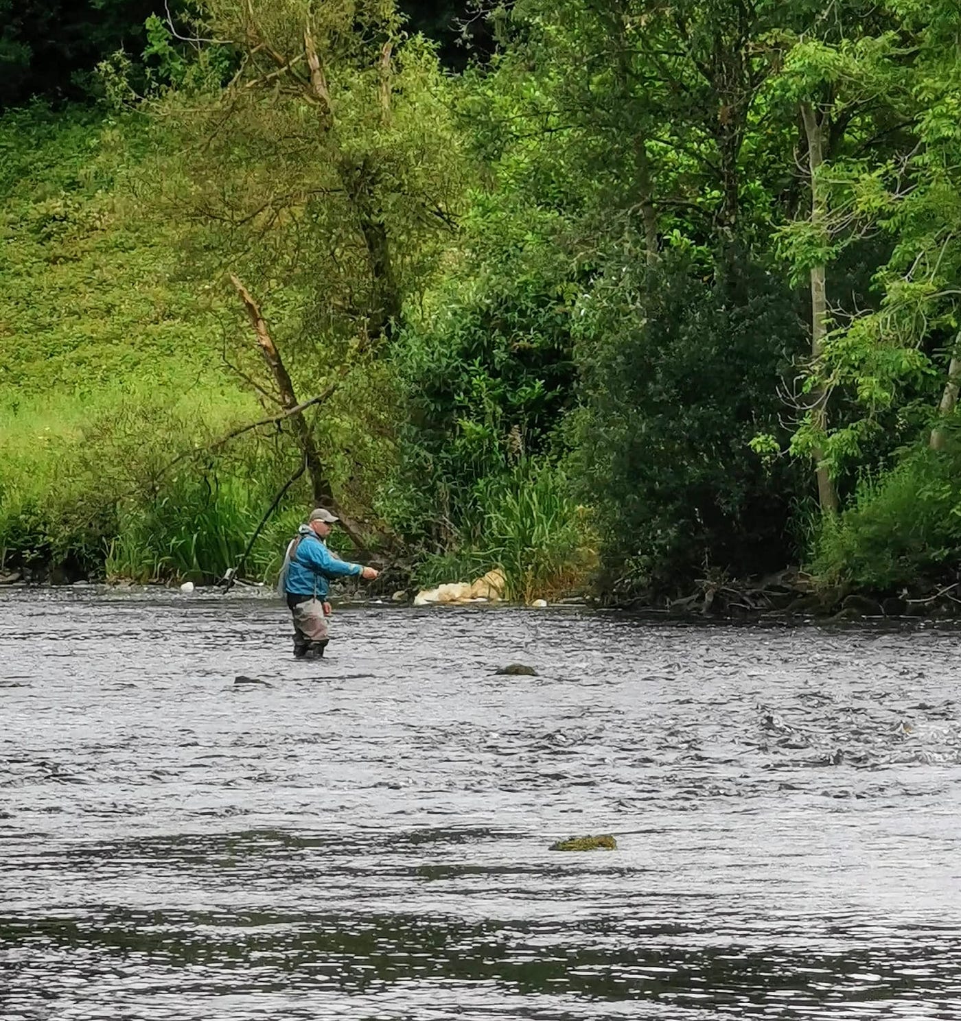 Peter Driver on Trout River Tactics for September plus Winning the National  River Championship, by Editor Ireland on the Fly, Ireland on the Fly