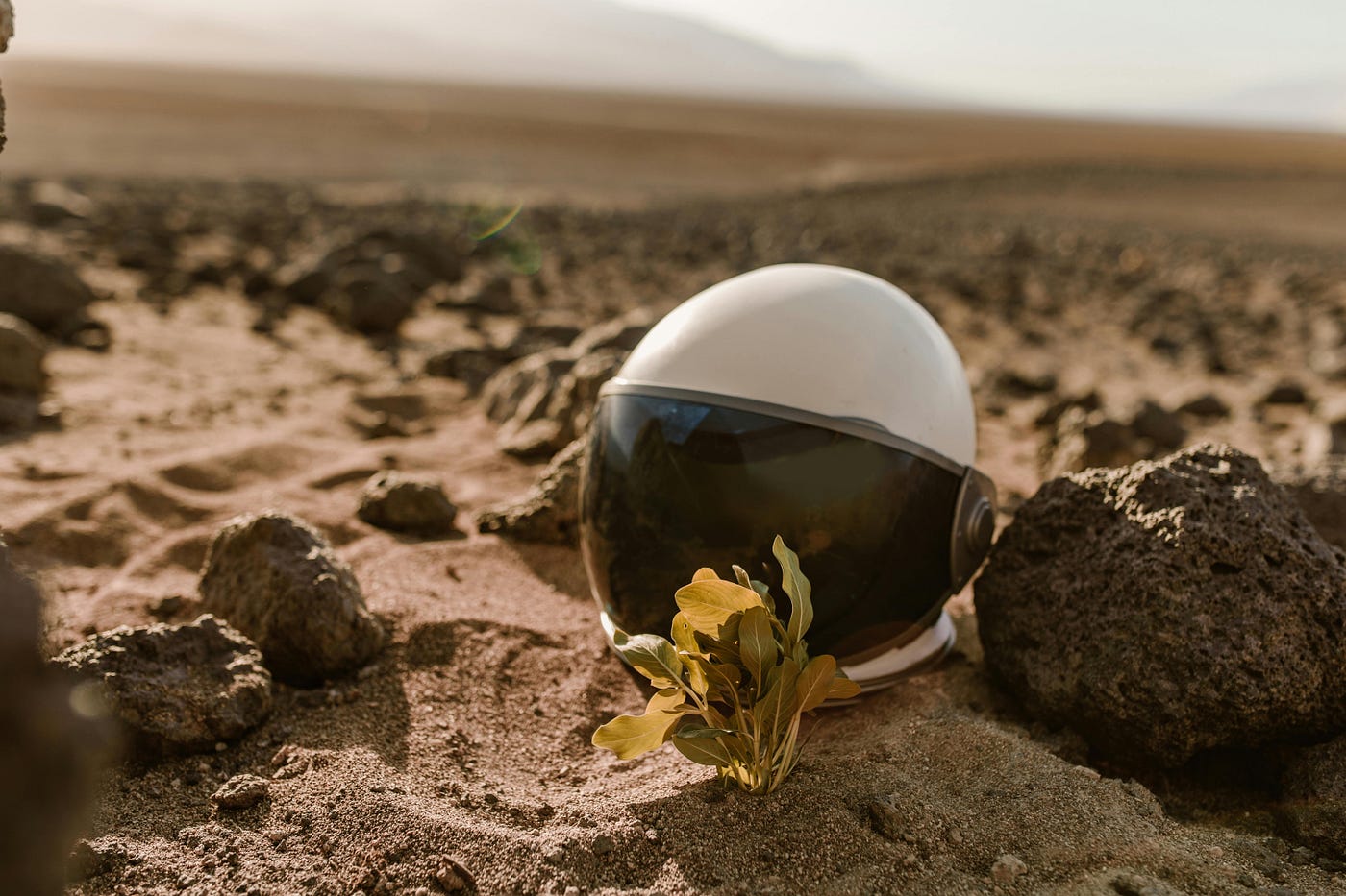 Photo by RDNE Stock project On Pexels