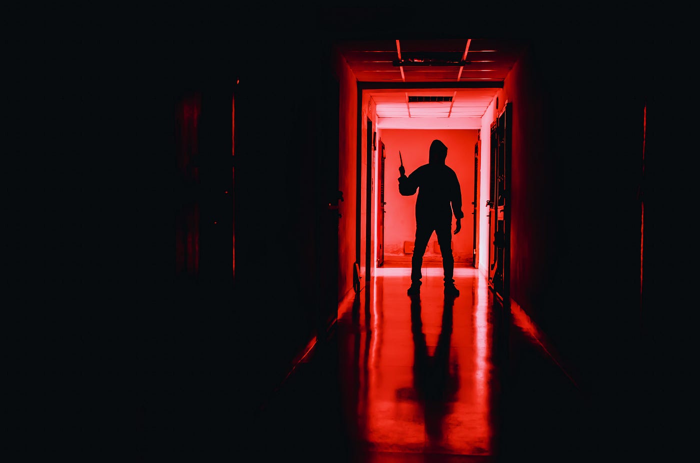 Dive into the Mind of a Teenage Con Artist