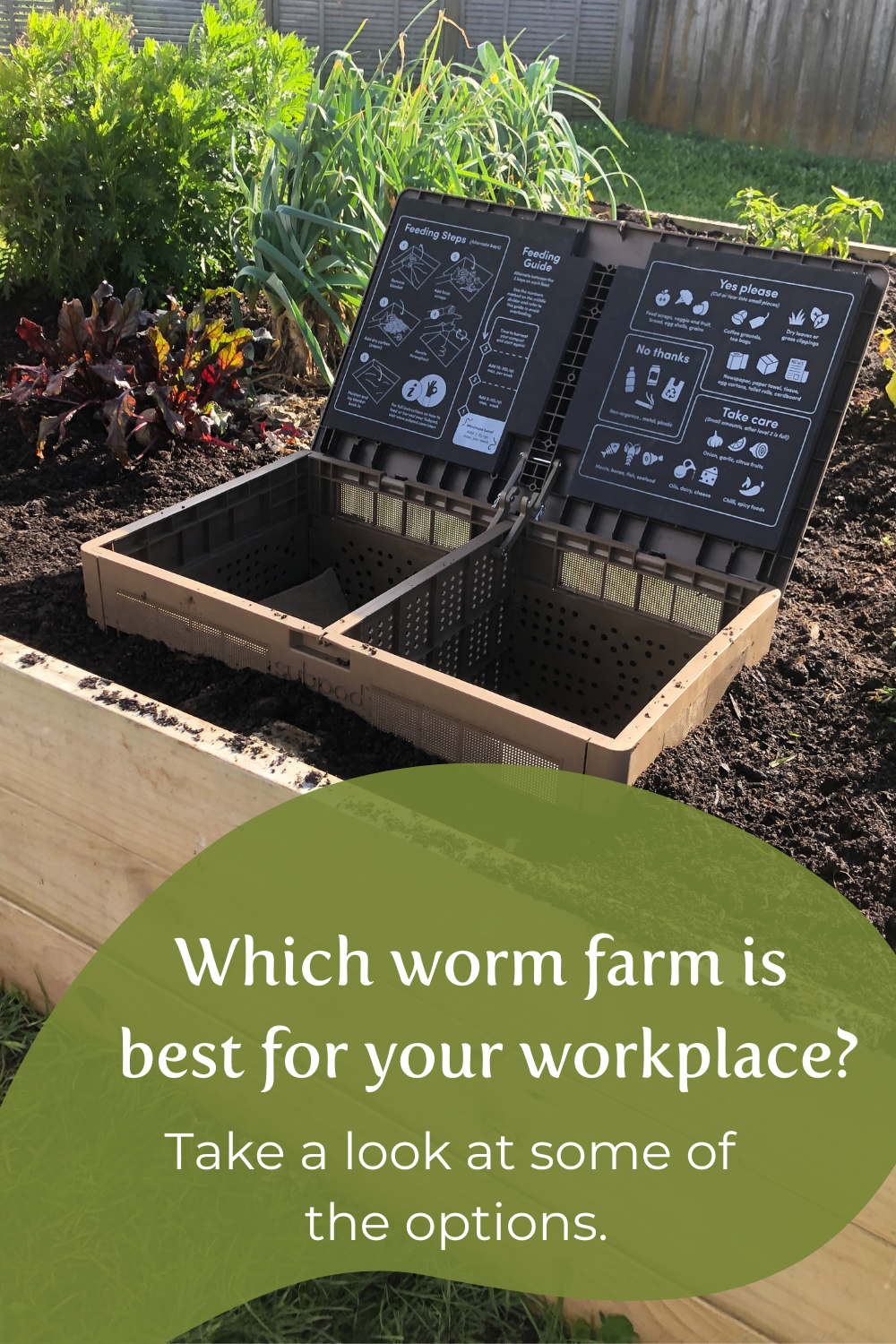 Choosing the best worm farm for your workplace, by Katrina Wolff,  Soilpreneur at Blue Borage