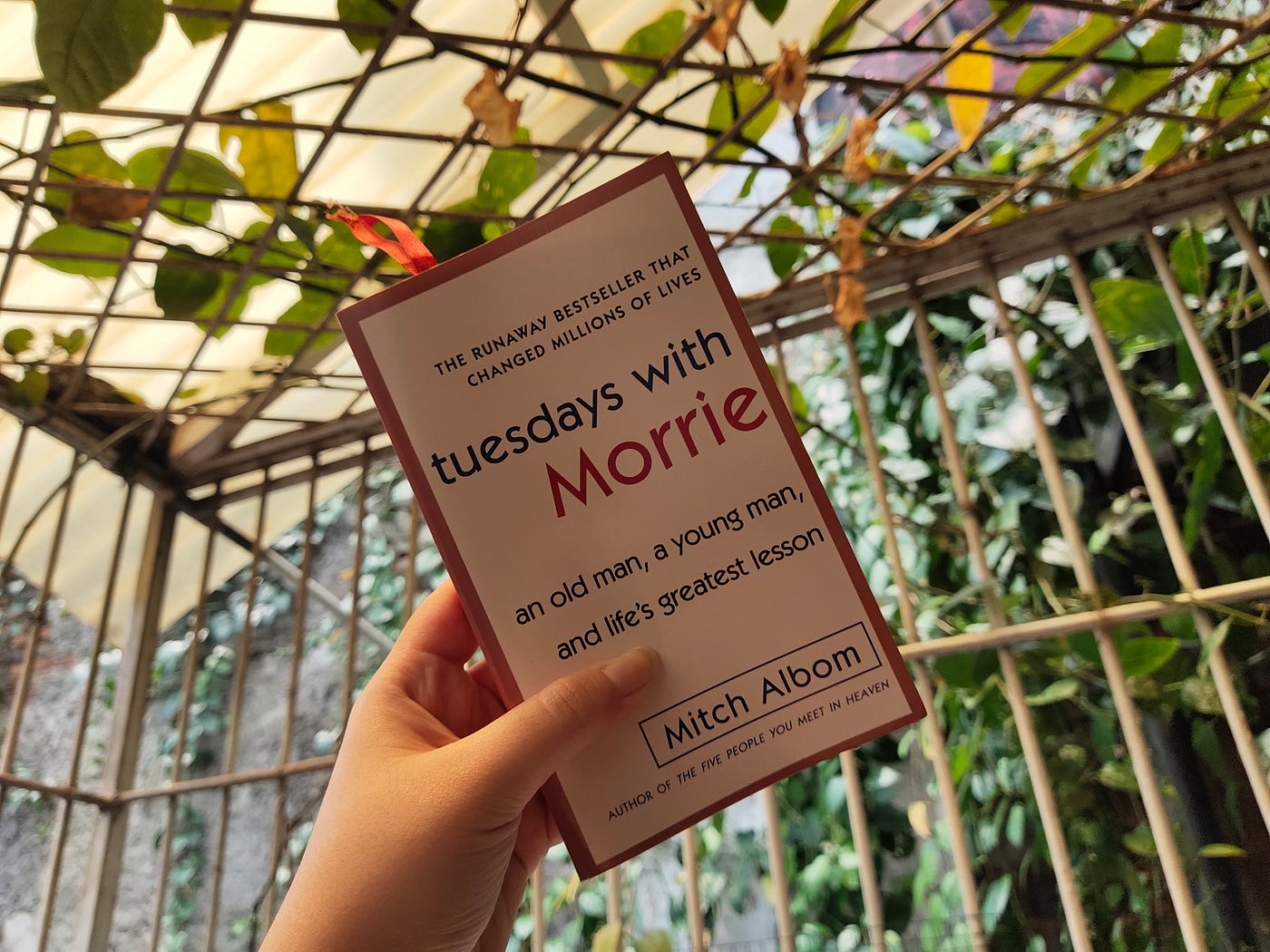 Family Book Review: Tuesdays with Morrie by Mitch Albom