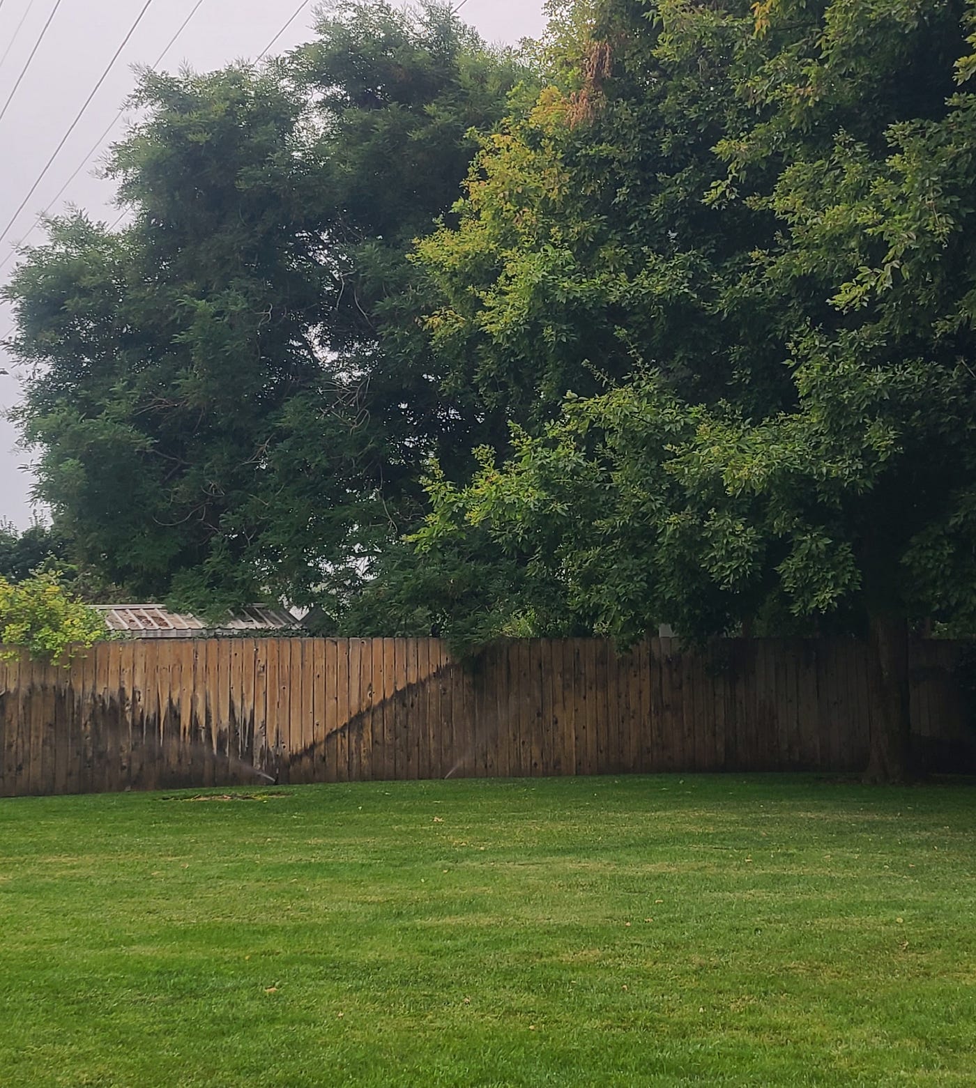 A Rainy July Morning