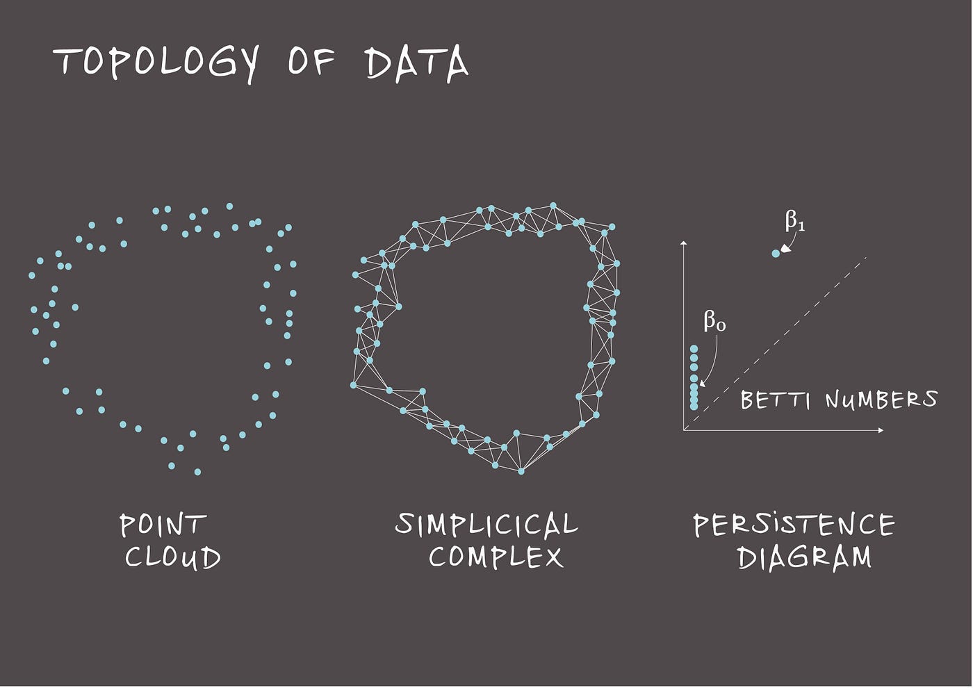 語学+参考書 Topological Data Analysis for Scientific